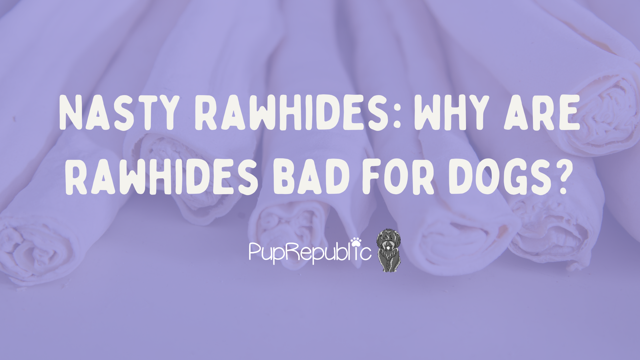 Are rawhides hotsell bad for dogs