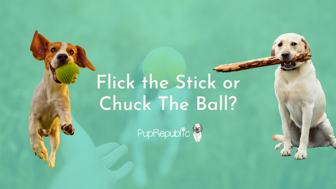 Flick The Stick, or Chuck The Ball?