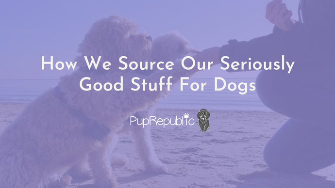 How We Source Our Seriously Good Stuff For Dogs