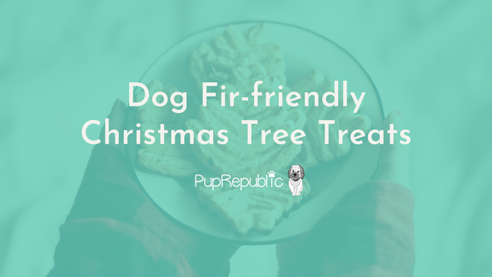 Dog Friendly Christmas Tree Treats (Recipe)