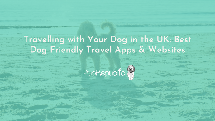 Travelling with Your Dog in the UK: Best Dog Friendly Travel Apps & Websites