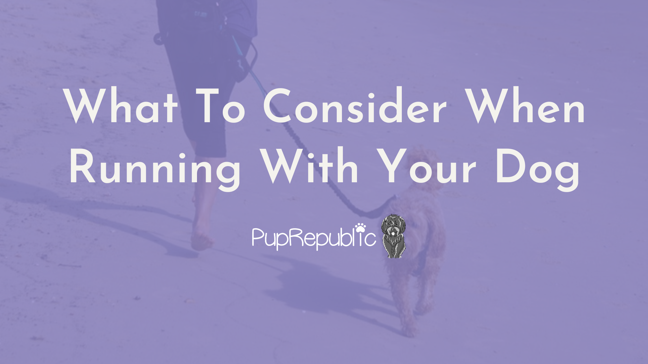 Running Tips - What To Consider When Running With Your Dog – Puprepublicuk