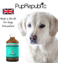 Load image into Gallery viewer, PupRepublic Tummy Tamer Dog Diarrhoea Medicine, 250ml - Perfect for Digestive Disorders
